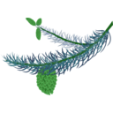 download Fir Branch With Cones clipart image with 90 hue color