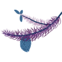 download Fir Branch With Cones clipart image with 180 hue color