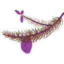 download Fir Branch With Cones clipart image with 270 hue color