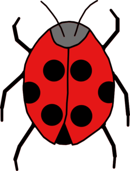 Ladybug