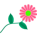 download Daisy Fuchsia clipart image with 45 hue color