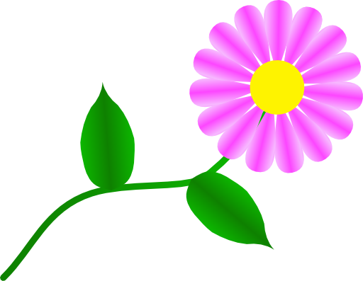 Daisy Fuchsia