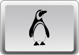 The Linux Key