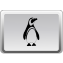 The Linux Key