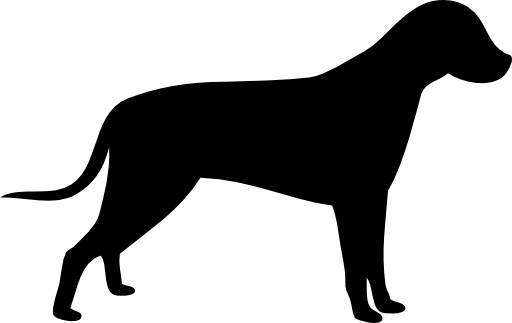 Standing Dog Silhouette