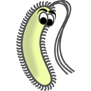 download Funny Bacillus clipart image with 45 hue color