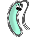 download Funny Bacillus clipart image with 135 hue color