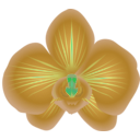 download Orchid clipart image with 90 hue color