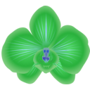 download Orchid clipart image with 180 hue color