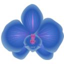 download Orchid clipart image with 270 hue color