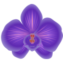 download Orchid clipart image with 315 hue color