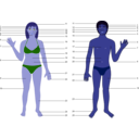 download Human Body Both Genders With Numbers clipart image with 225 hue color