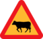 Warning Cows Roadsign