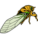 download Cicada clipart image with 45 hue color