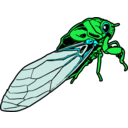 download Cicada clipart image with 135 hue color