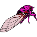download Cicada clipart image with 315 hue color