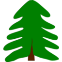 Spruce