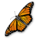 Monarch Butterfly