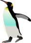 Emperor Penguin