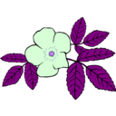 download Gg Rosa Acicularis clipart image with 180 hue color