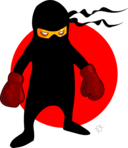 Ninja Boxer