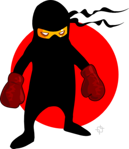 Ninja Boxer