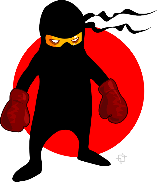 Ninja Boxer