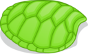 Hoof Of Green Turtle