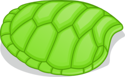 Hoof Of Green Turtle