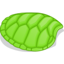 Hoof Of Green Turtle