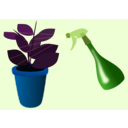 download Caring For Houseplants clipart image with 180 hue color