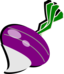 Turnip