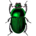download Scarabe clipart image with 315 hue color