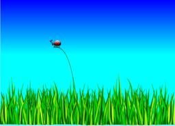 Grass With Bug