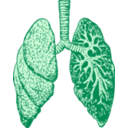 download Lungs clipart image with 135 hue color
