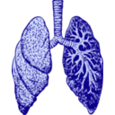 download Lungs clipart image with 225 hue color