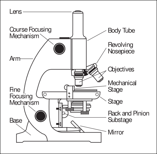 58294main The Brain In Space Page 56 Telescope