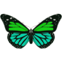 download Butterfly 02 Turquoise Blue clipart image with 315 hue color