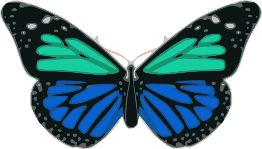 Butterfly 02 Turquoise Blue