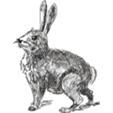 download Rabbit clipart image with 45 hue color