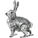 download Rabbit clipart image with 135 hue color