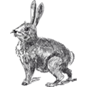 download Rabbit clipart image with 270 hue color