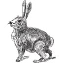 download Rabbit clipart image with 315 hue color