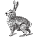 download Rabbit clipart image with 0 hue color