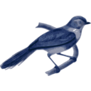 download Aegithalos Fuliginosus clipart image with 180 hue color