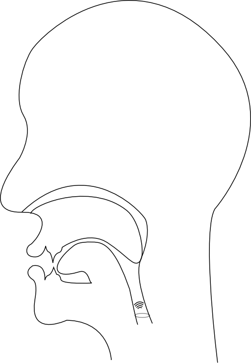 Midsagittal Y Voiced Palatal Approximant