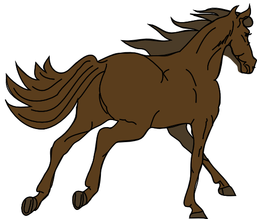 Architetto Cavallo 16