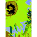 download Van Gogh S Sun Flower En 01 clipart image with 45 hue color