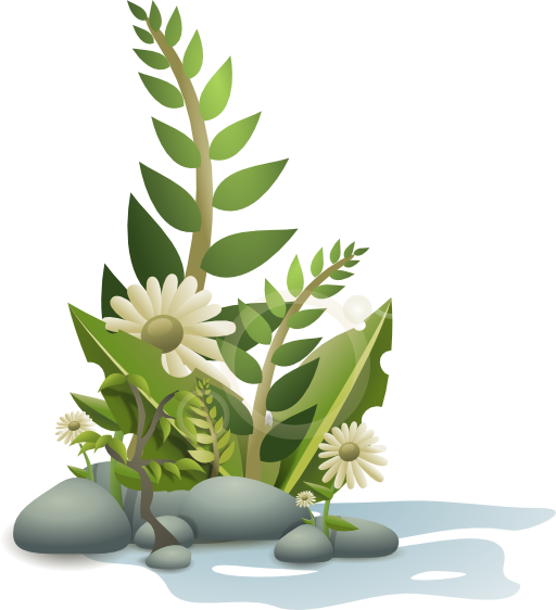 Plants Pebbles And Flowers