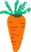 Carrot